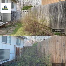 Cedar Fence Cleaning in Laval, QC 0